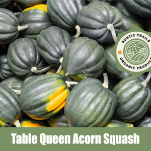 Table Queen Acorn Squash Cucurbita pepo